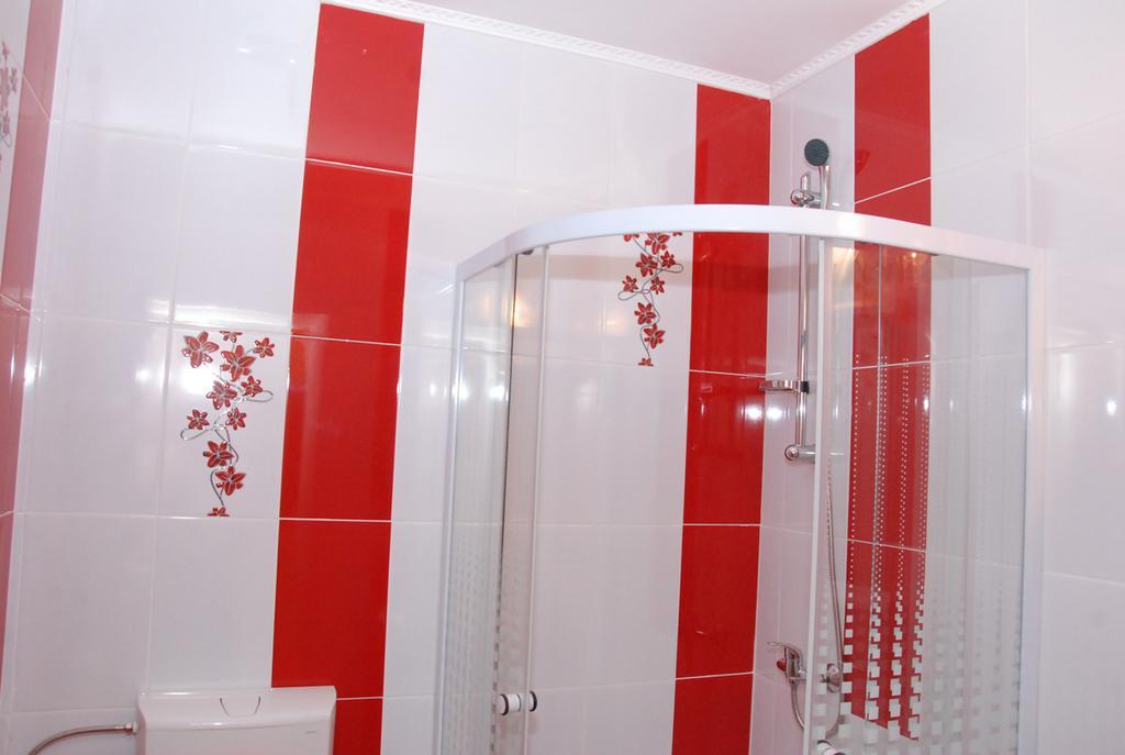 Vila Nicoleta Hotell Sibiu Exteriör bild