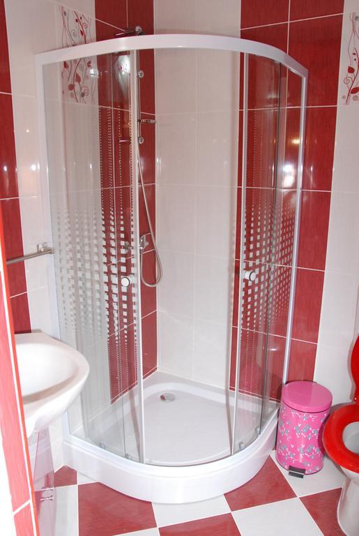 Vila Nicoleta Hotell Sibiu Exteriör bild