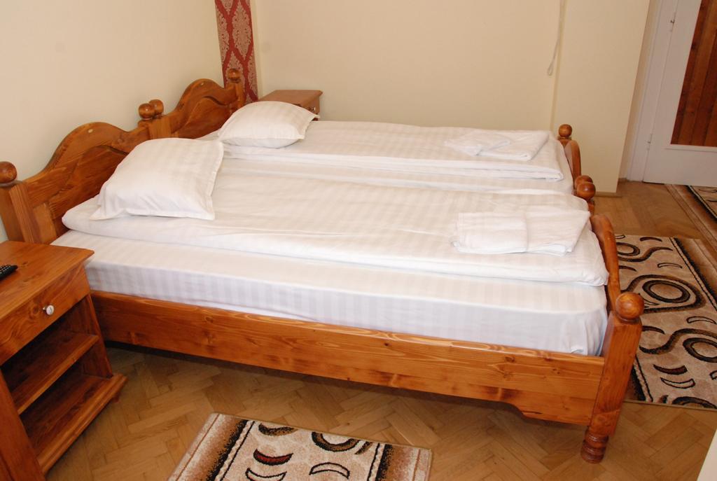 Vila Nicoleta Hotell Sibiu Exteriör bild